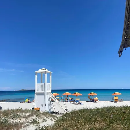 Seaview Vibes - Sardinia Style Lejlighed Olbia